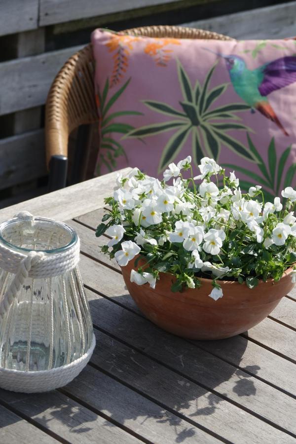 Hotel Het Anker Van Texel เดอค็อกส์ดอร์ป ภายนอก รูปภาพ